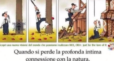 Pillole di Saggezza